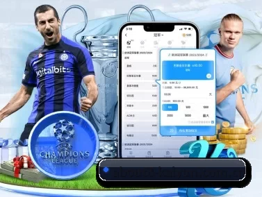 开云app官网 APP 界面