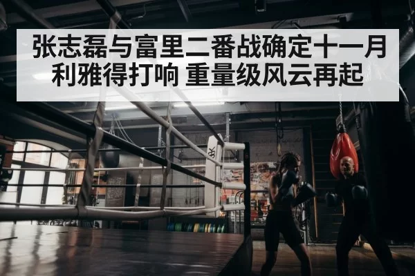 boxer training
