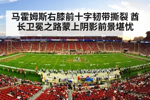 nfl stadium crowd