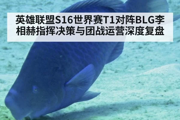 英雄联盟S16世界赛T1对阵BLG李相赫指挥决策与团战运营深度复盘
